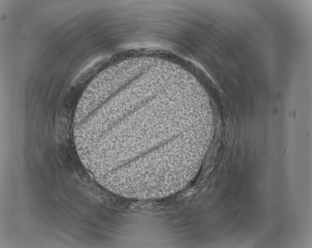 X0000082760967200702240100