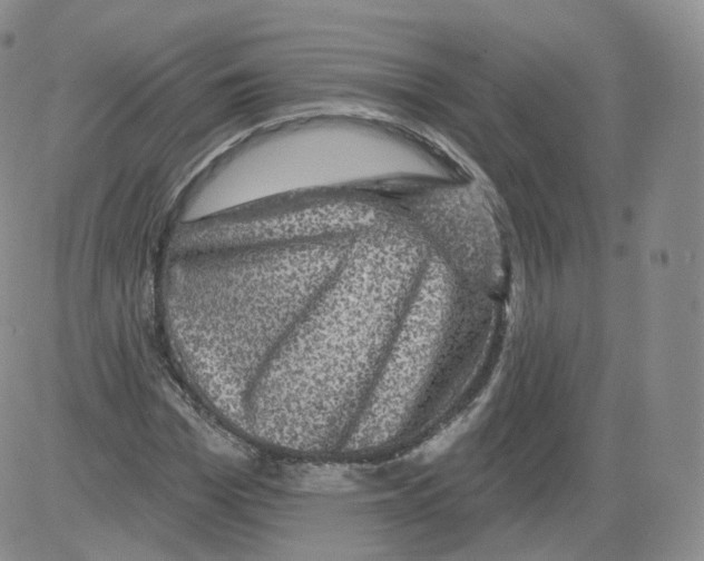 X0000082760969200702240100