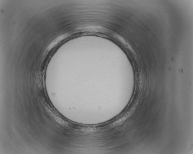 X0000082760970200702240100