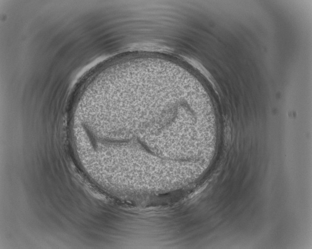 X0000082760971200702240100