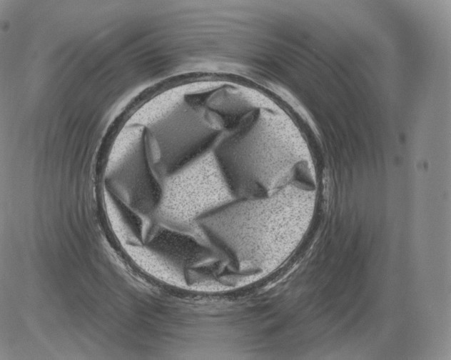 X0000082760972200702240100