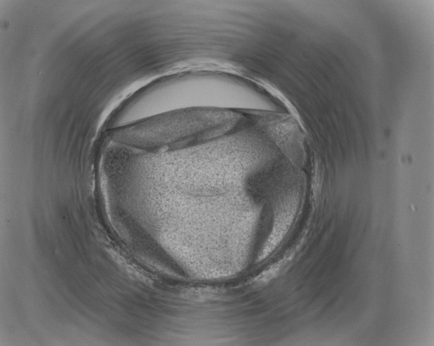 X0000082760973200702240100