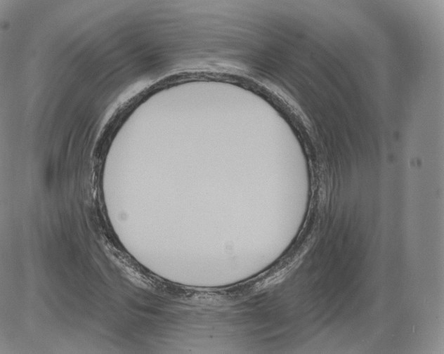 X0000082760974200702240100