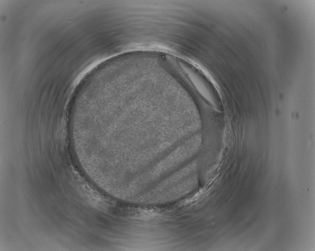 X0000082760975200702240100