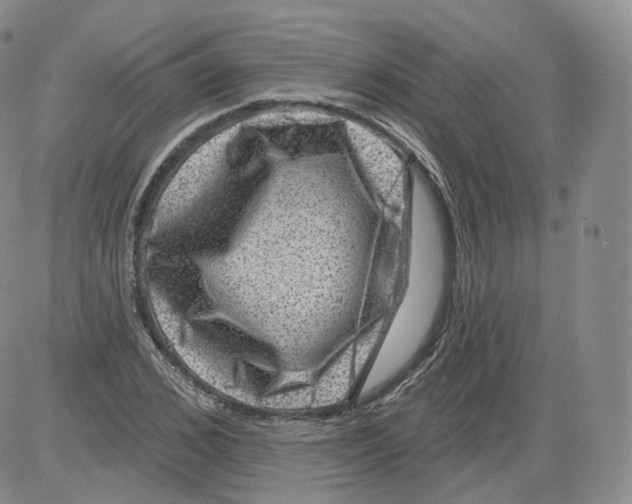 X0000082760976200702240100