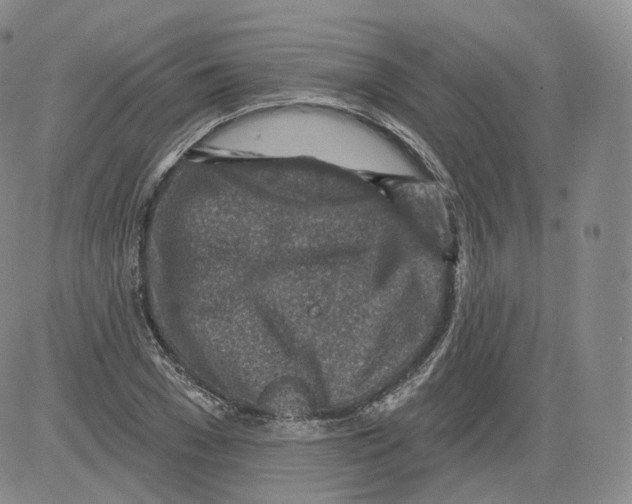 X0000082760977200702240100