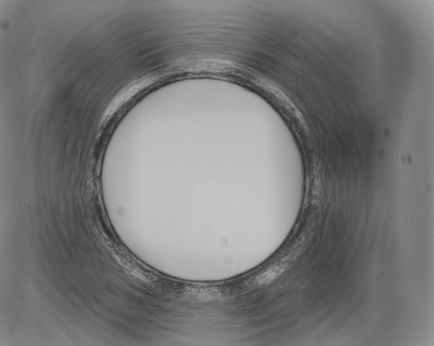 X0000082760978200702240100