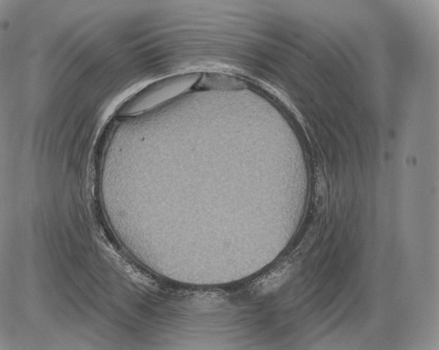 X0000082760979200702240100