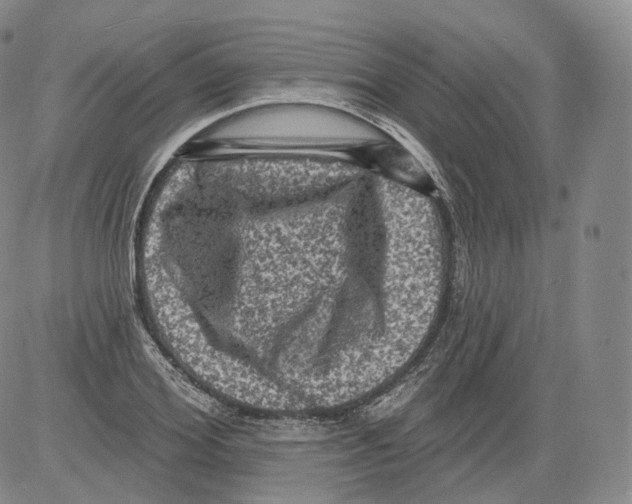 X0000082760980200702240100