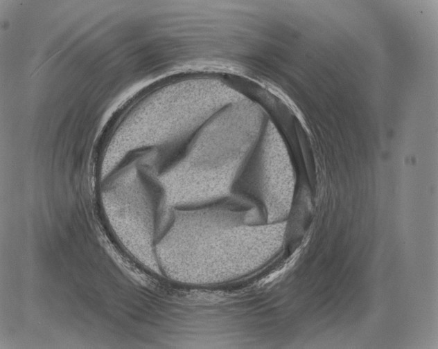 X0000082760981200702240100