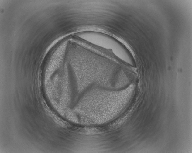 X0000082760983200702240100