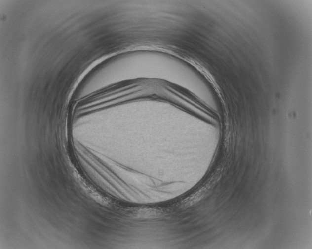 X0000082760984200702240100