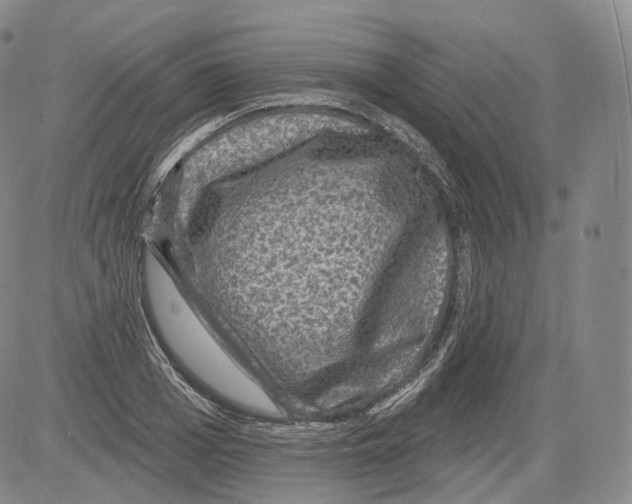 X0000082760985200702240100