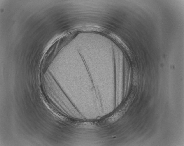 X0000082760986200702240100