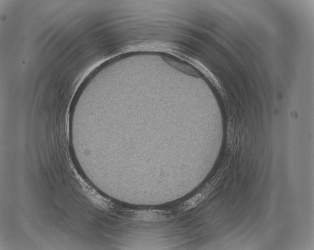 X0000082760988200702240100