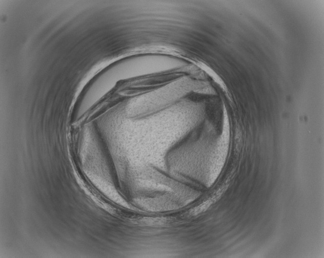 X0000082760989200702240100