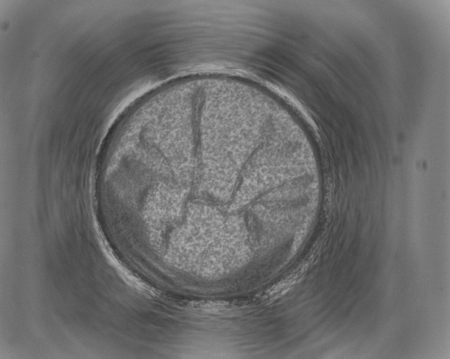 X0000082760991200702240100