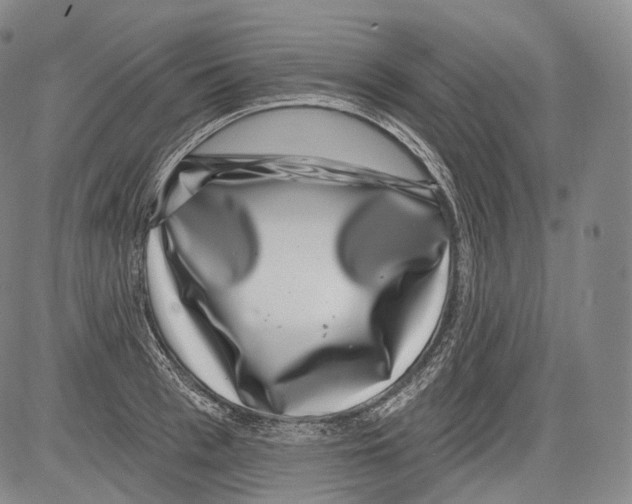 X0000082760993200702240100