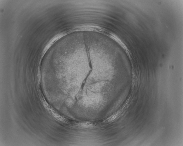 X0000082760994200702240100