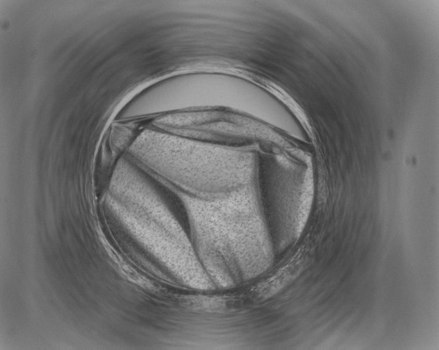 X0000082760996200702240100