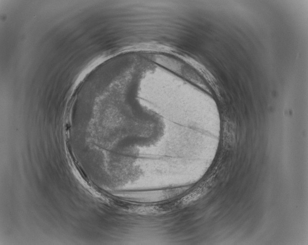 X0000082760998200702240100