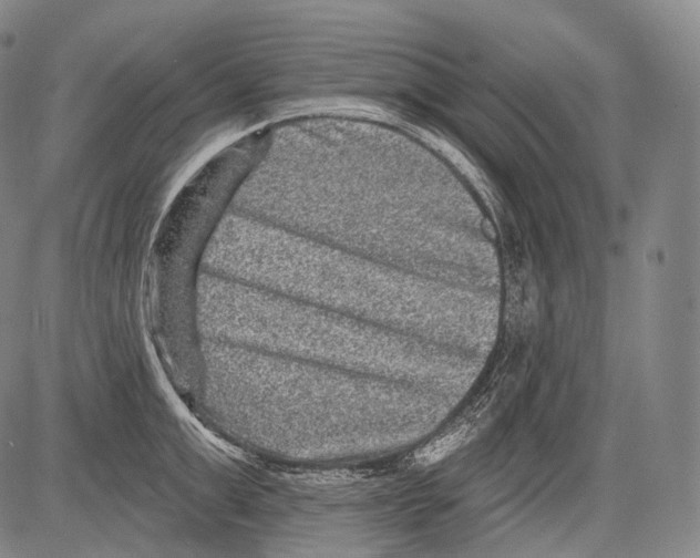 X0000082760999200702240100