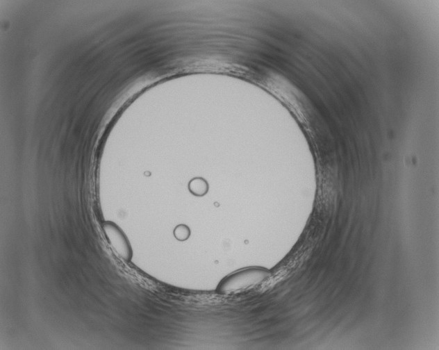 X0000082761000200702240100