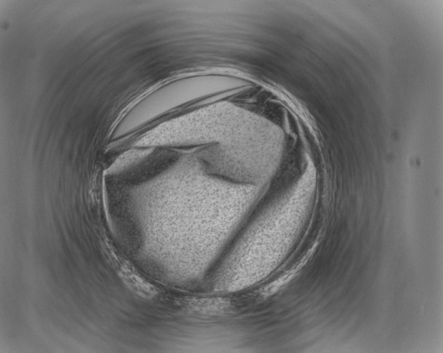 X0000082761001200702240100