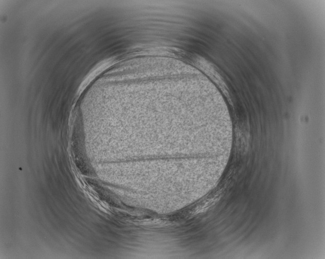 X0000082761002200702240100