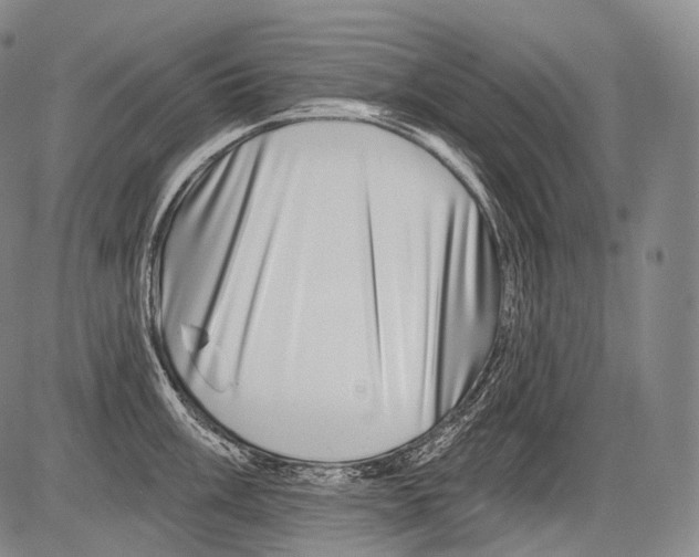 X0000082761003200702240100