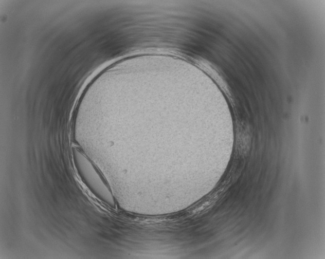 X0000082761004200702240100