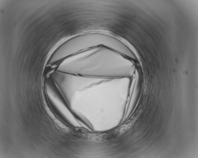 X0000082761005200702240100