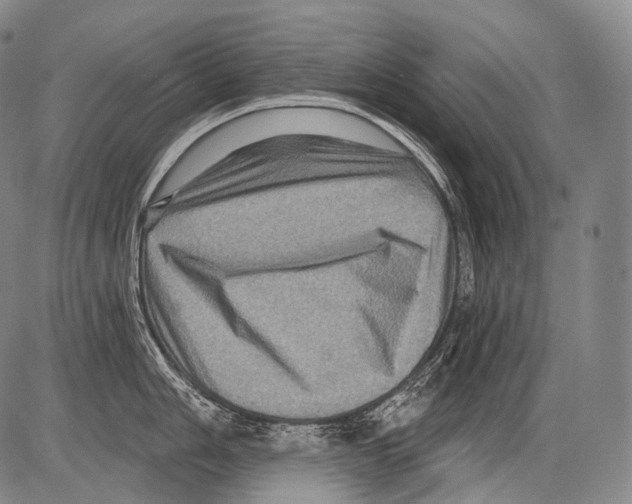 X0000082761006200702240100