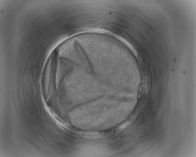 X0000082761007200702240100