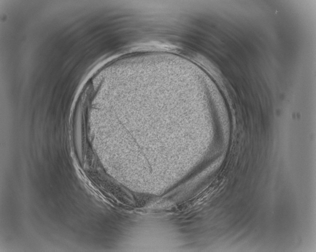 X0000082761008200702240100