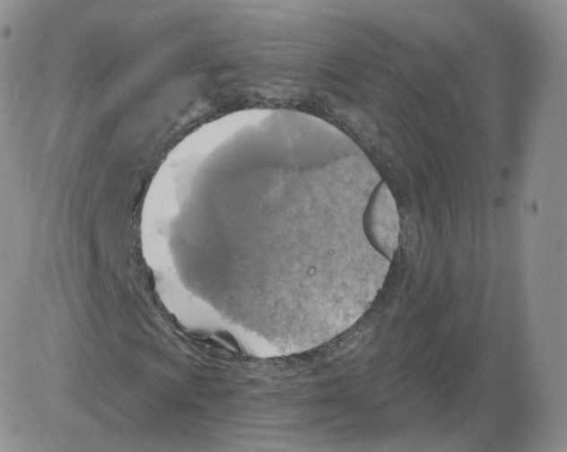 X0000082761009200702240059