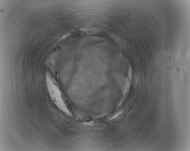 X0000082761010200702240059