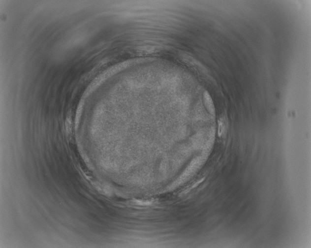 X0000082761011200702240059