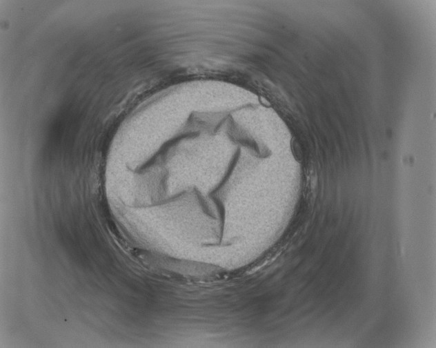 X0000082761012200702240059