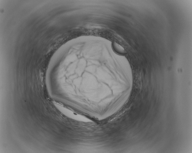 X0000082761013200702240059