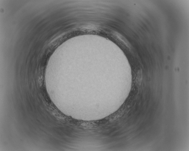 X0000082761015200702240059