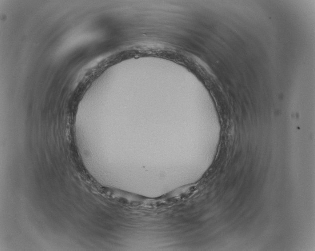 X0000082761016200702240059