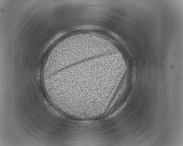 X0000082761017200702240059