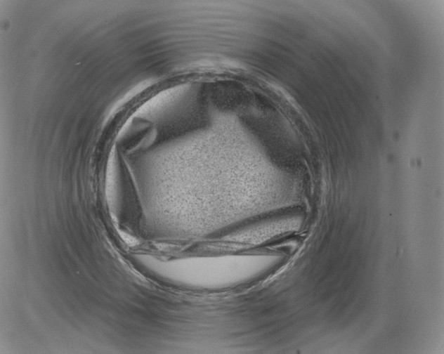 X0000082761018200702240059