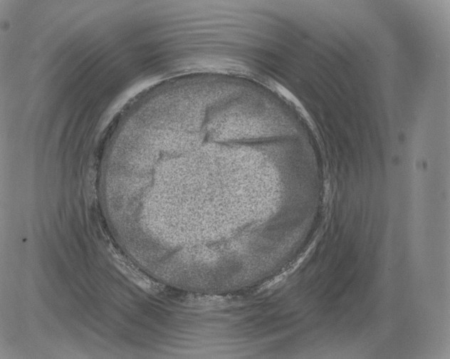 X0000082761019200702240059