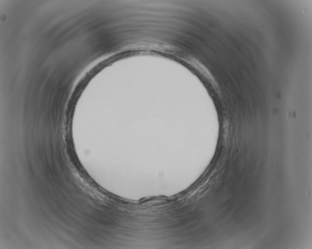 X0000082761020200702240059