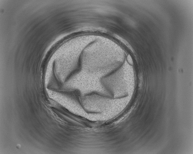 X0000082761021200702240059