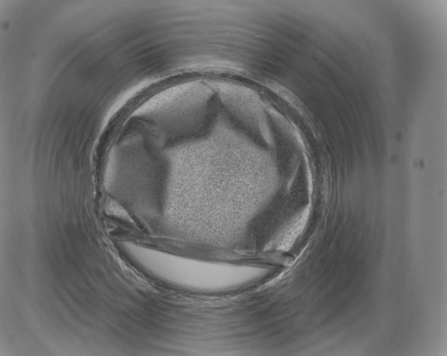 X0000082761022200702240059