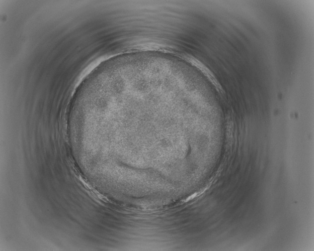 X0000082761023200702240059