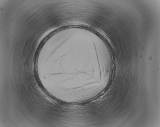 X0000082761024200702240059